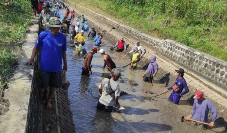 Cara Dinas Urai Perkara Banjir di Banyuwangi