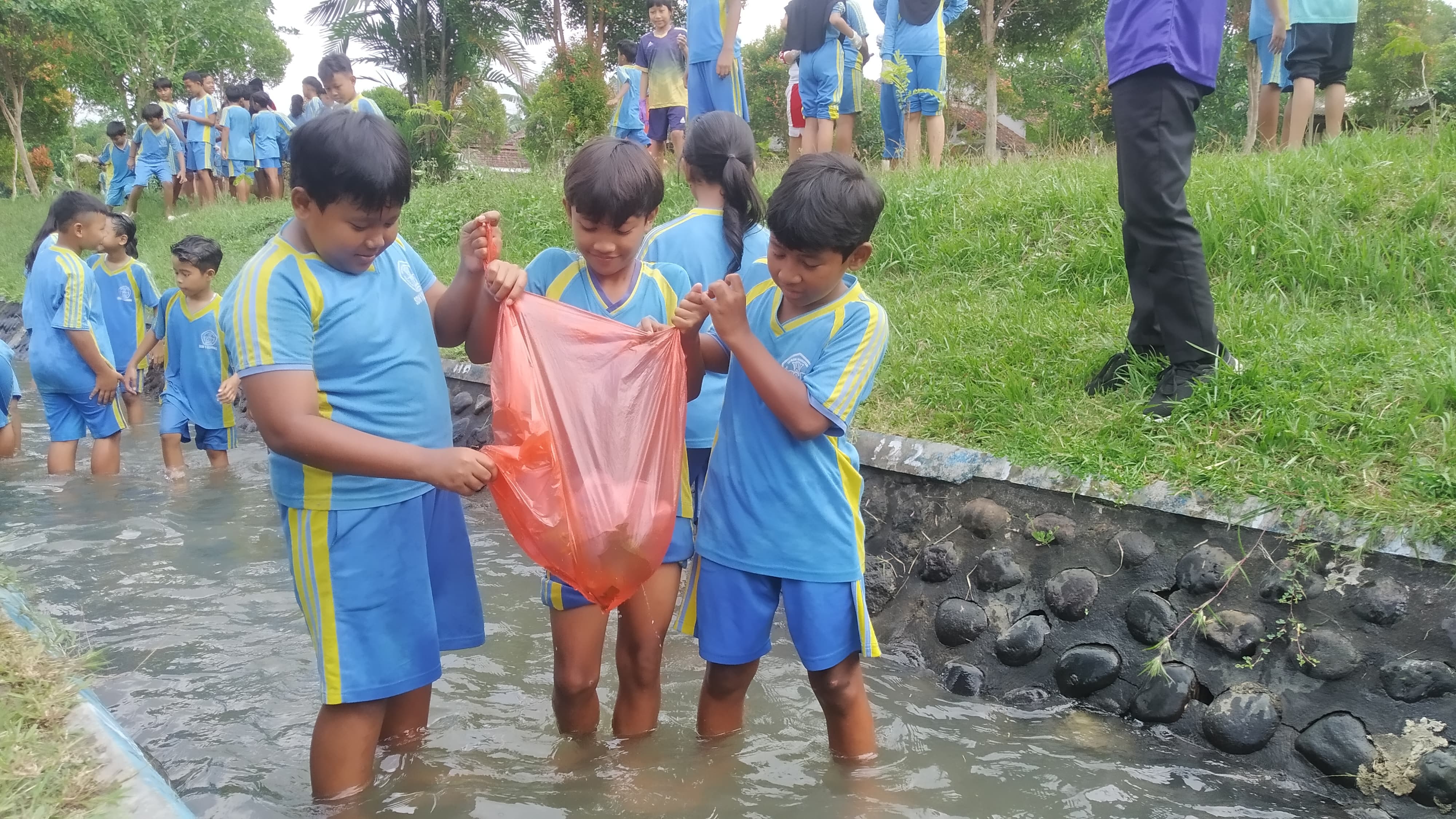 Murid SDN 1 Cluring Beraksi di Program Sekardadu, Wujudkan Cinta Lingkungan