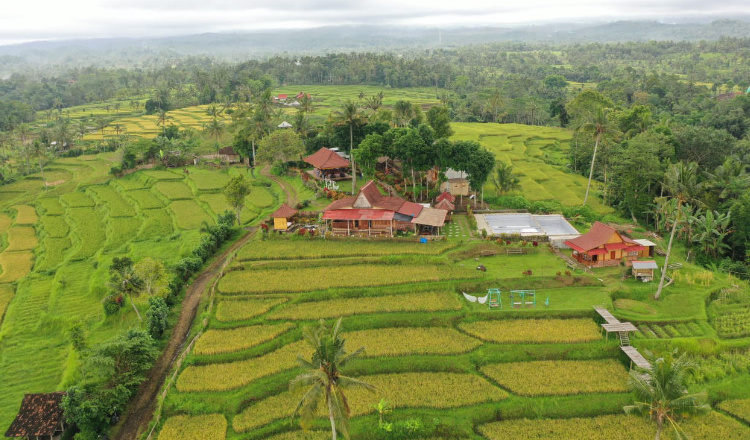 Berada di Lereng Ijen, Ada Wisata Berkonsep Pedesaan di Banyuwangi