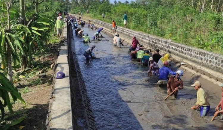 DPU Pengairan Banyuwangi Beberkan Manfaat Pengerukan Sedimentasi Saluran Irigasi