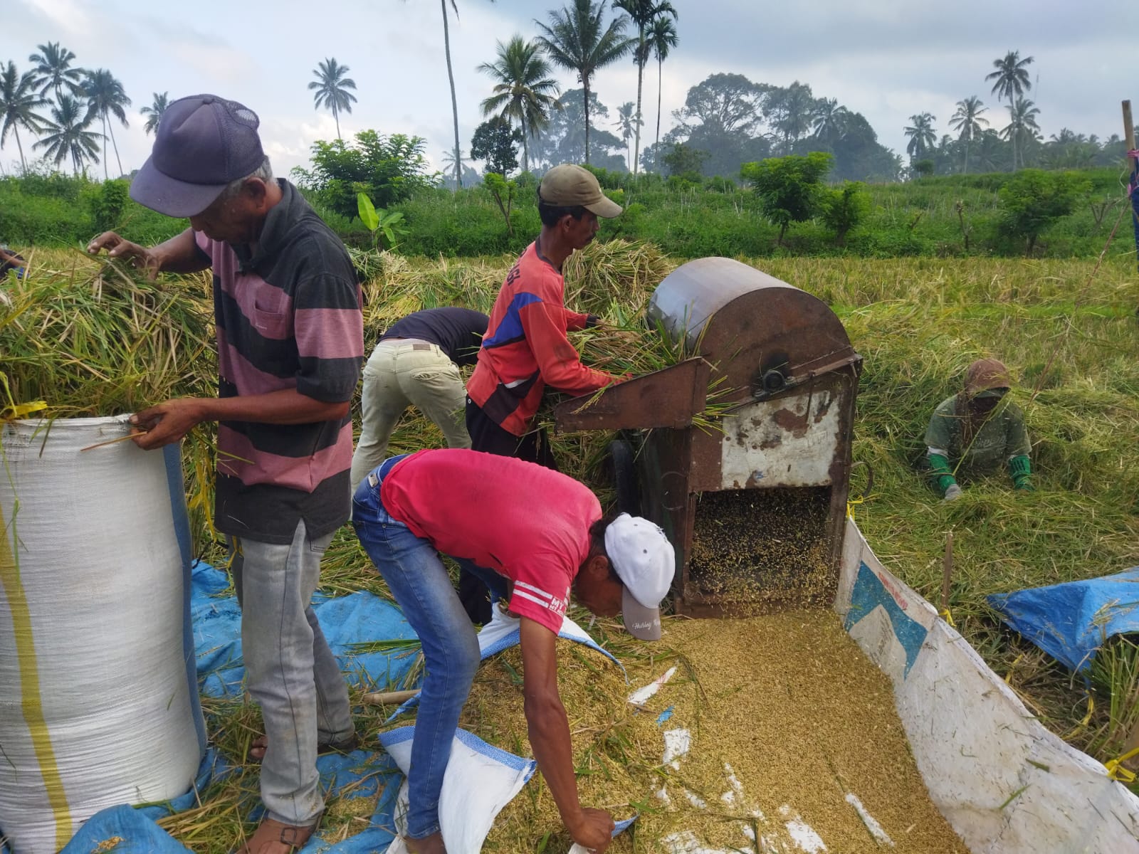 Lewat RTTG, Dinas PU Pengairan: Solusi Tepat untuk Ketersediaan Air Irigasi